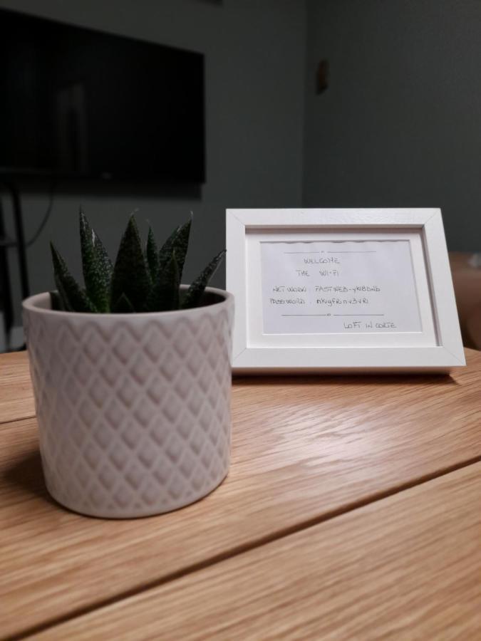 Loft In Corte 토리노 외부 사진